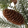 Sztuczna gałązka jodły z szyszką, 41 cm | Floristik24.pl