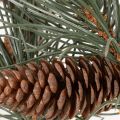 Sztuczna gałązka sosnowa z szyszkami, dekoracja salonu, 93 cm | Floristik24.pl