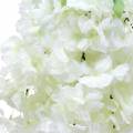 Floristik24 Gałąź kwiatu wiśni z 5 gałęziami, biała, sztuczna, 75 cm