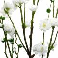 Floristik24 Gałąź kwiatu wiśni biała sztuczna gałązka dekoracyjna wiosenna dekoracja kwiatu wiśni