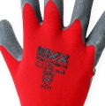 Floristik24 Nylonowe rękawice ogrodowe Kixx rozmiar 8 czerwone, szare