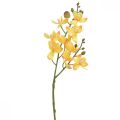 Floristik24 Mała orchidea Phalaenopsis sztuczna żółta 30cm