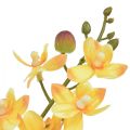 Floristik24 Mała orchidea Phalaenopsis sztuczna żółta 30cm