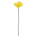 Floristik24 Kwiaty sztuczne Gerbera żółte 45cm