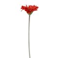 Floristik24 Kwiaty sztuczne Gerbera Czerwone 45cm