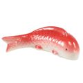 Floristik24 Koi rybka dekoracyjna ceramiczna czerwona biała pływająca 15cm 3szt