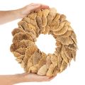 Wianek z grzybów drzewnych, kolor naturalny, do dekoracji drzwi lub ściany, 37 cm | Floristik24.pl