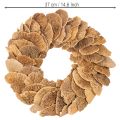 Wianek z grzybów drzewnych, kolor naturalny, do dekoracji drzwi lub ściany, 37 cm | Floristik24.pl