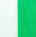 Floristik24 Wstążki wieńca Moiré zielono-białe 100mm 25m