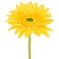 Floristik24 Sztuczne kwiaty gerbery, słoneczna żółć, kwiat ogrodowy, 47 cm, 6 sztuk