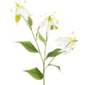 Floristik24 Sztuczny kwiat Gloriosa, biały i żółty, elegancka gałązka kwitnąca do dekoracji, 80 cm, 3 sztuki