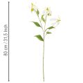 Sztuczny kwiat Gloriosa, biały i żółty, elegancka gałązka kwitnąca do dekoracji, 80 cm, 3 sztuki | Floristik24.pl