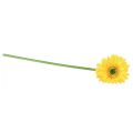 Floristik24 Sztuczne kwiaty gerbera słonecznie żółte 47cm