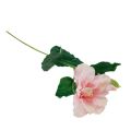 Floristik24 Sztuczne Kwiaty Hibiskusa Różowe 62cm