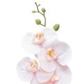 Floristik24 Sztuczna orchidea różowa Phalaenopsis Real Touch 83cm