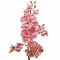 Floristik24 Sztuczne storczyki deco Sztuczny kwiat orchidei różowy 71cm
