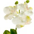 Floristik24 Sztuczne storczyki Sztuczny kwiat orchidei biały 20cm