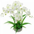 Floristik24 Sztuczne storczyki sztuczne kwiaty w białej doniczce 60cm