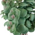 Floristik24 Sztuczne rośliny eukaliptusowe do przyklejenia 18cm 4szt