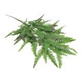 Floristik24 Sztuczna paproć sztuczna roślina liście paproci zielone 44cm