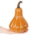 Ceramiczna dynia jesienna dekoracja stołu 26 cm | Floristik24.pl