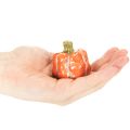 Zestaw dyni: Małe dekoracyjne dynie do dekoracji jesiennych, 5 cm, 3 sztuki | Floristik24.pl