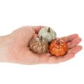 Zestaw miniaturowych dekoracji dyniowych, dekoracje jesienne i halloweenowe, różne kolory, 4 cm, 24 sztuki | Floristik24.pl