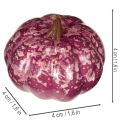 Zestaw miniaturowych dekoracji dyniowych, dekoracje jesienne i halloweenowe, różne kolory, 4 cm, 24 sztuki | Floristik24.pl