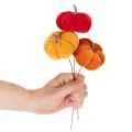 Dynia dekoracyjna na drucie, dekoracja jesienna, aksamit, zestaw trójkolorowy, 8cm, 9 sztuk | Floristik24.pl