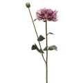 Floristik24 Sztuczny kwiat Dalia Fioletowy jedwabny kwiat i pączek wys.57cm