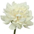 Floristik24 Sztuczny kwiat Dalia Biała Sztuczny kwiat z pąkiem wys.57cm