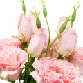 Floristik24 Sztuczne kwiaty Lisianthus różowe sztuczne jedwabne kwiaty 50cm 5szt