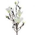 Floristik24 Gałązka magnolii sztuczna kremowa 90cm