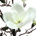Floristik24 Gałązka magnolii sztuczna kremowa 90cm