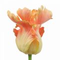 Floristik24 Sztuczny kwiat, papuga tulipan pomarańczowy, wiosenny kwiat 63cm