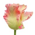 Floristik24 Sztuczny kwiat, papuga tulipan różowy, wiosenny kwiat 63cm