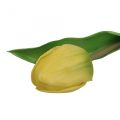 Floristik24 Sztuczny Tulipan Żółty Prawdziwy W dotyku Wiosenny Kwiat W21cm