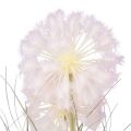 Floristik24 Sztuczne kwiaty ozdobne kulkowe Allium ozdobne cebulowe sztuczne 54cm