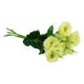 Floristik24 Kwiaty sztuczne Eustoma Lisianthus żółto-zielone 52cm 5szt