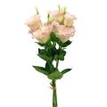 Floristik24 Kwiaty sztuczne Eustoma Lisianthus różowy kremowy 52cm 5szt