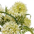 Floristik24 Kwiaty sztuczne białe allium dekoracja cebule ozdobne 34cm 3szt w pęczku