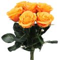 Floristik24 Róże sztuczne nadziewane pomarańczowe Ø6cm L37cm 6szt.