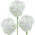 Floristik24 Sztuczne róże krem wosk róże deco róże wosk Ø6cm 18 sztuk