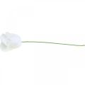 Floristik24 Sztuczne róże białe róże woskowe róże dekoracyjne wosk Ø6cm 18szt