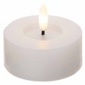 Podgrzewacze LED XL, biały, prawdziwy wosk, z timerem, ciepła biel, 6 cm, 2 szt. | Floristik24.pl
