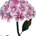 Floristik24 Kwiat solarny, dekoracja ogrodowa LED, dekoracyjna chryzantema różowa L55cm Ø15cm