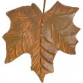 Floristik24 Dekoracja jesienna liście metalowe rdzawe L20cm 4szt