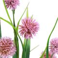Floristik24 Sztuczne kwiaty kuliste Allium ozdobne cebulowe sztuczny róż 45cm