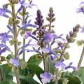 Floristik24 Dekoracyjna roślina lawendy, śródziemnomorska doniczka lawendy, fioletowy sztuczny kwiat