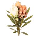 Floristik24 Sztuczny kwiat Protea Leucadendron na długiej łodydze, 65 cm, 3 sztuki